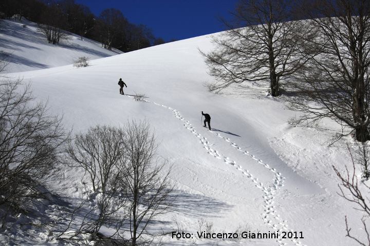 Passeggiata con ciaspole